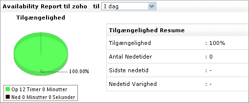 Websted  Applikationsoverv&aring;gning