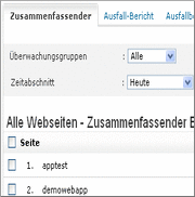 Webseiten-Überwachungs-Bericht Webseiten-Überwachungs-Bericht