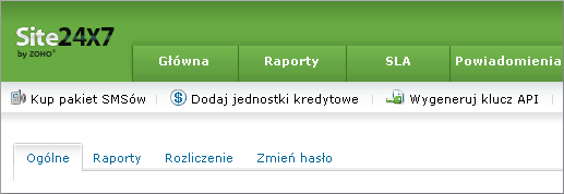 Monitoring Witryny API