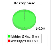 Monitorowanie dostępności strony Monitorowanie dost&ecedil;pności strony