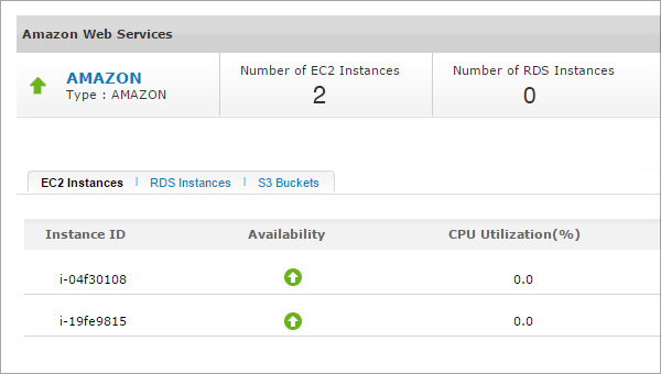 Amazon EC2 and RDS Instances Monitoring